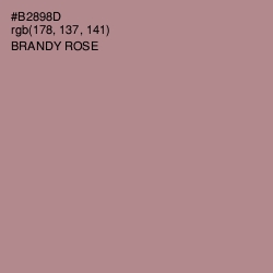 #B2898D - Brandy Rose Color Image